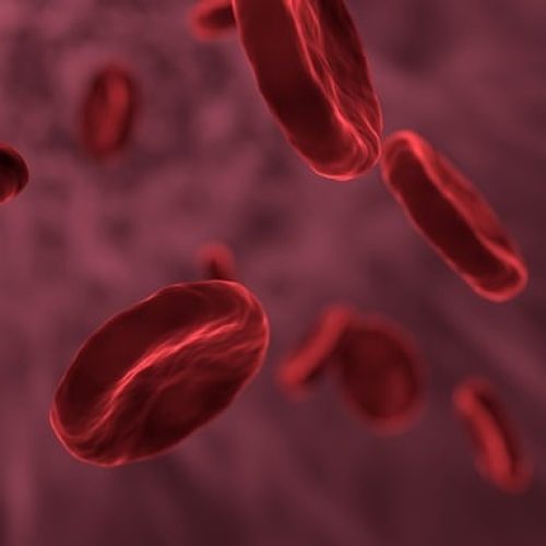 red-blood-cells-g65f142359_640